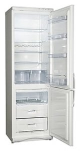 Холодильник Snaige RF360-1801A