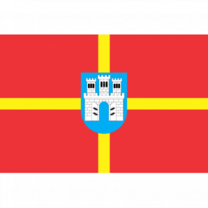 Флаг Житомирской области 90х150см