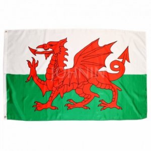 Флаг Уэльса 90х150см