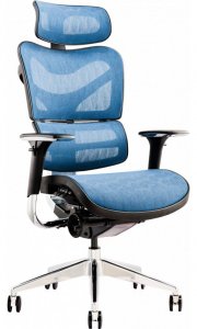 Офисное кресло GT Racer X-702 Blue (W-65-1)